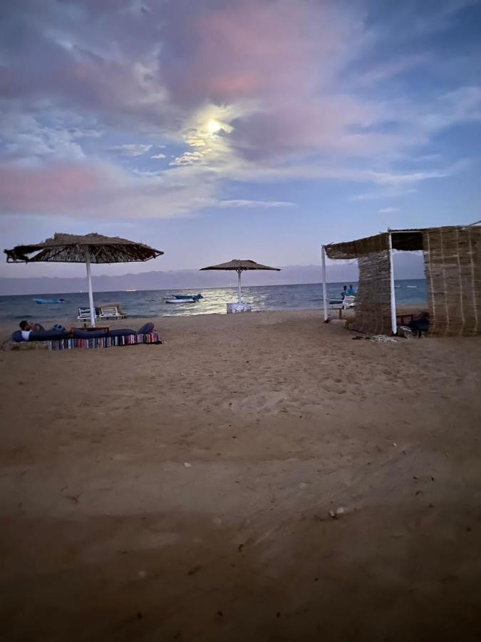 Nuweiba Oasis Hotell Exteriör bild