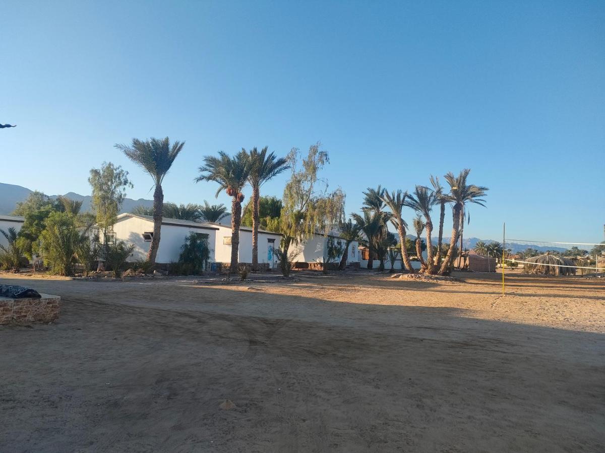 Nuweiba Oasis Hotell Exteriör bild